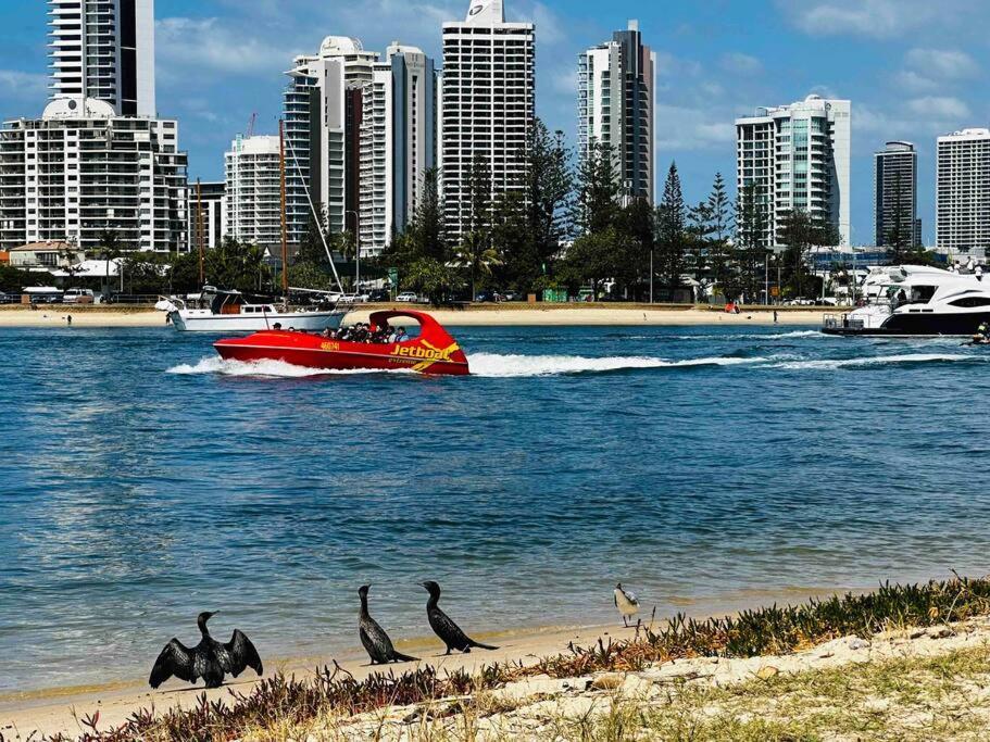 Broadwater Parklands Paradise-one & Two Bedroom Apartment Gold Coast
