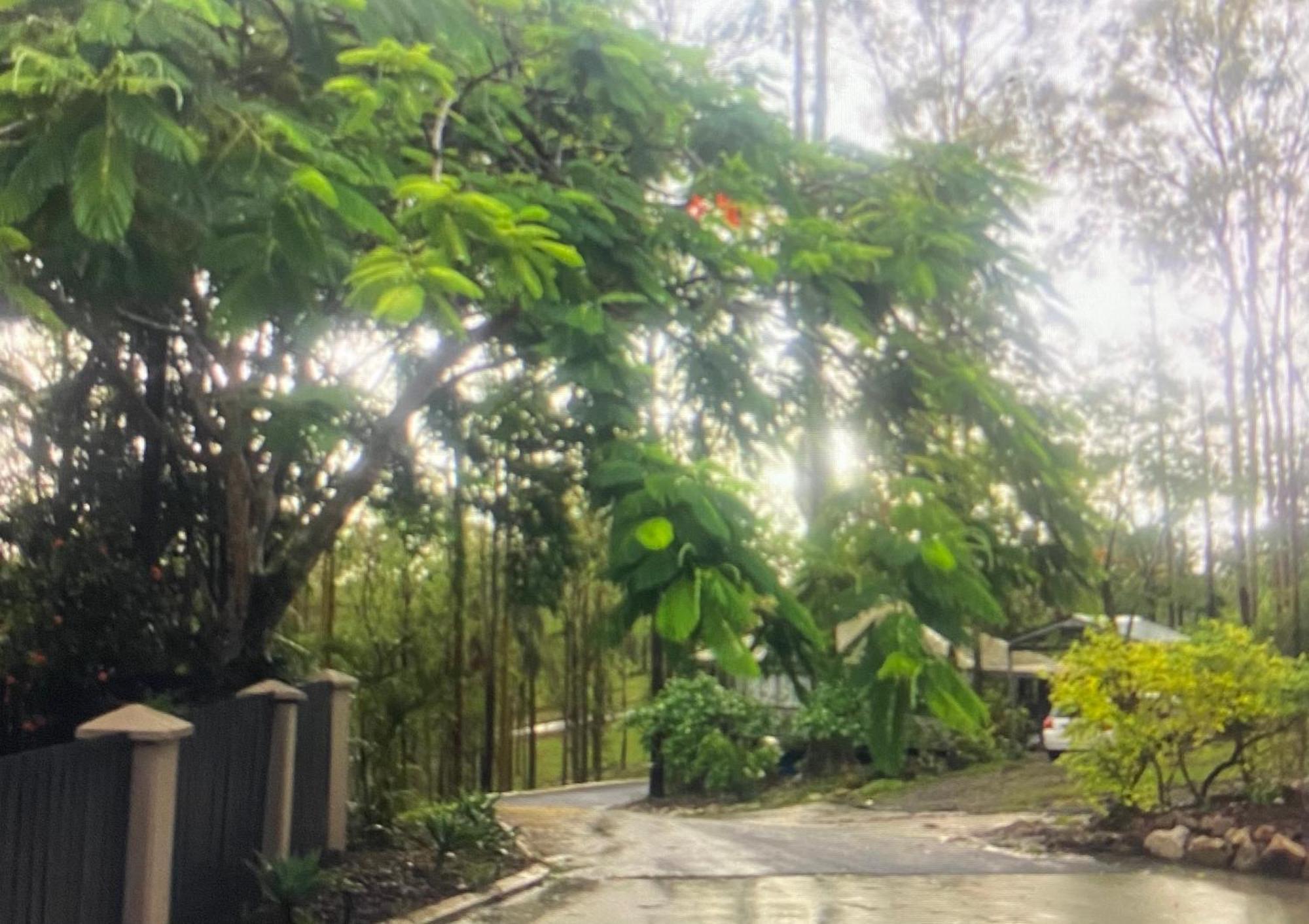 Amongst The Gum Trees Holiday home Gold Coast