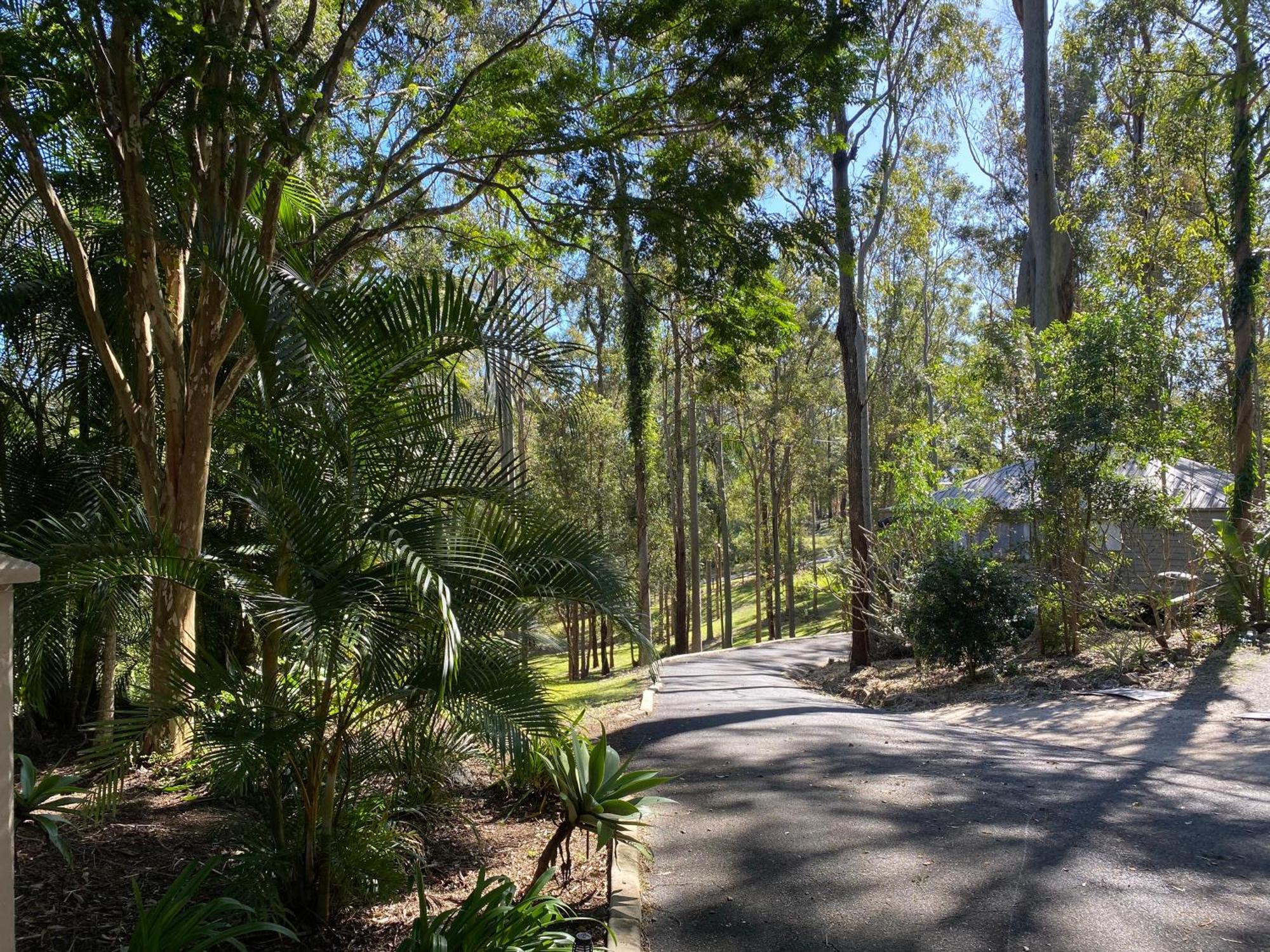 Amongst The Gum Trees Gold Coast
