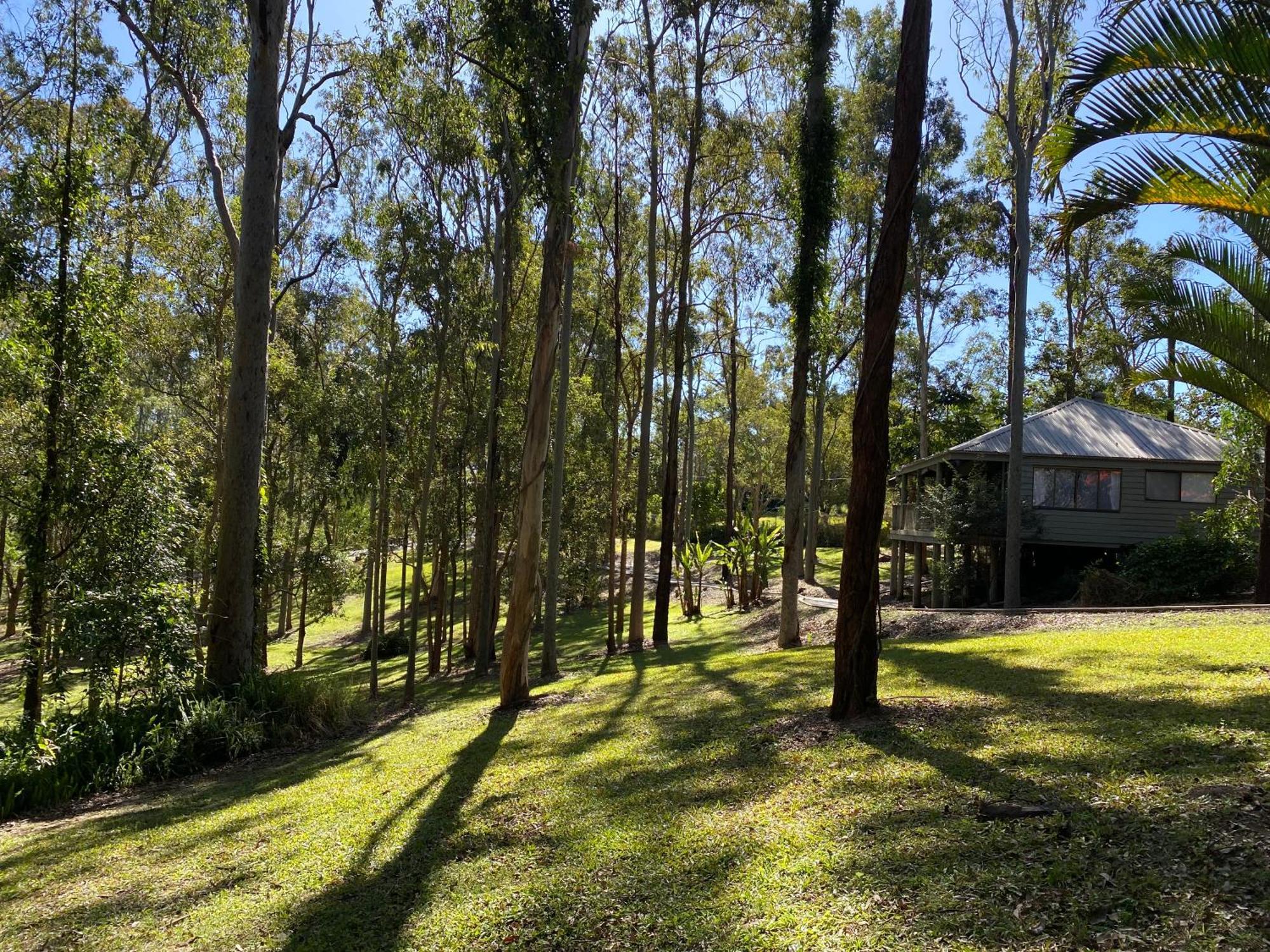 Amongst The Gum Trees * Gold Coast