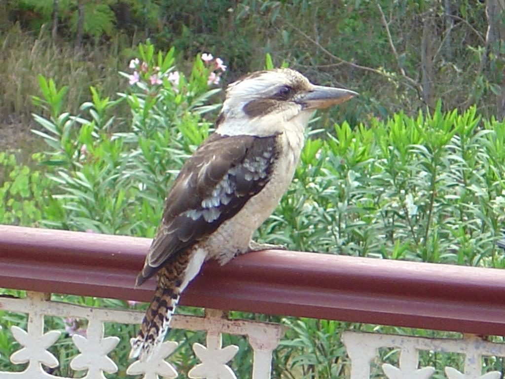 Riviera Bed & Breakfast Gold Coast