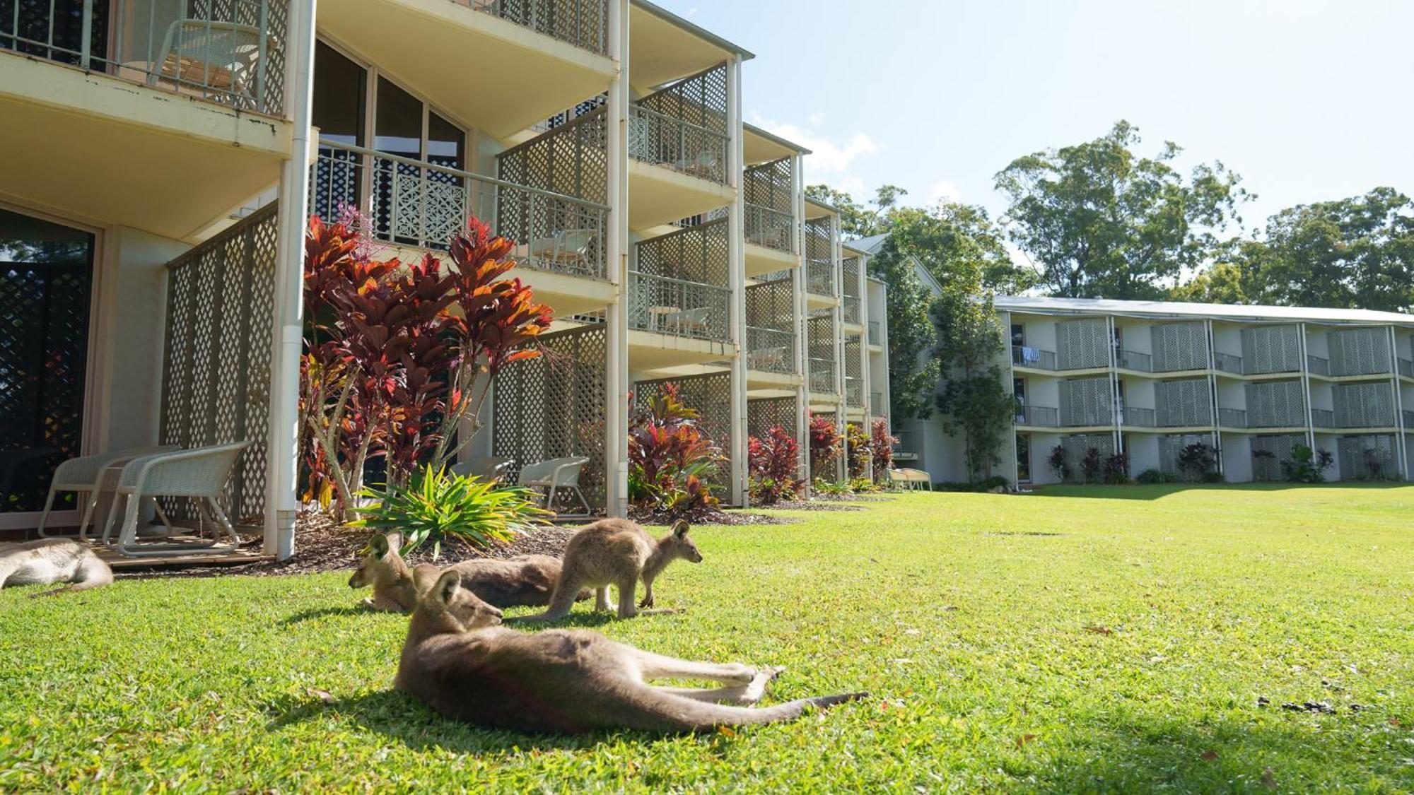 Intercontinental Sanctuary Cove By Ihg Resort 5*