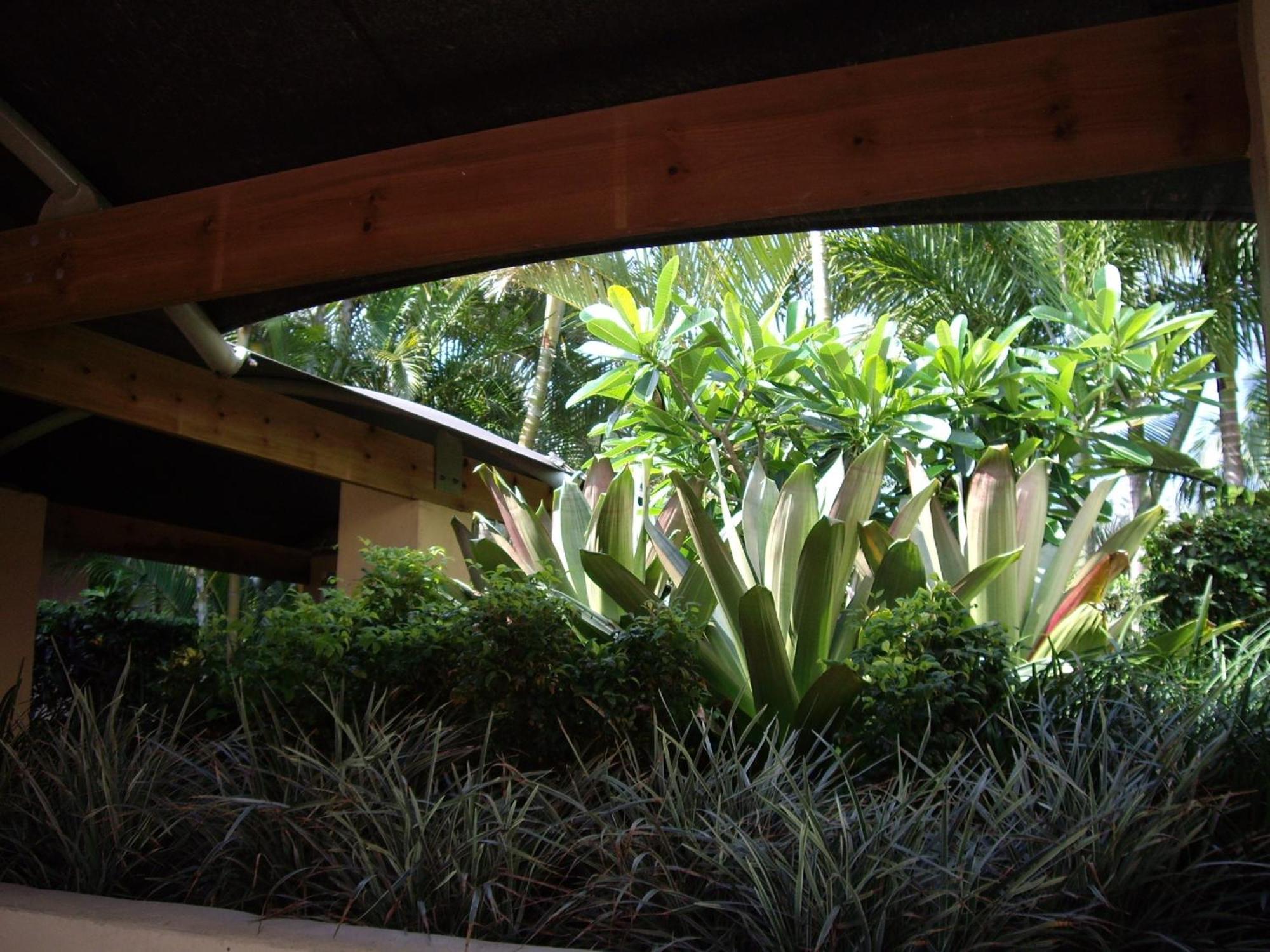 Bila Vista Kirra Beachside 3*