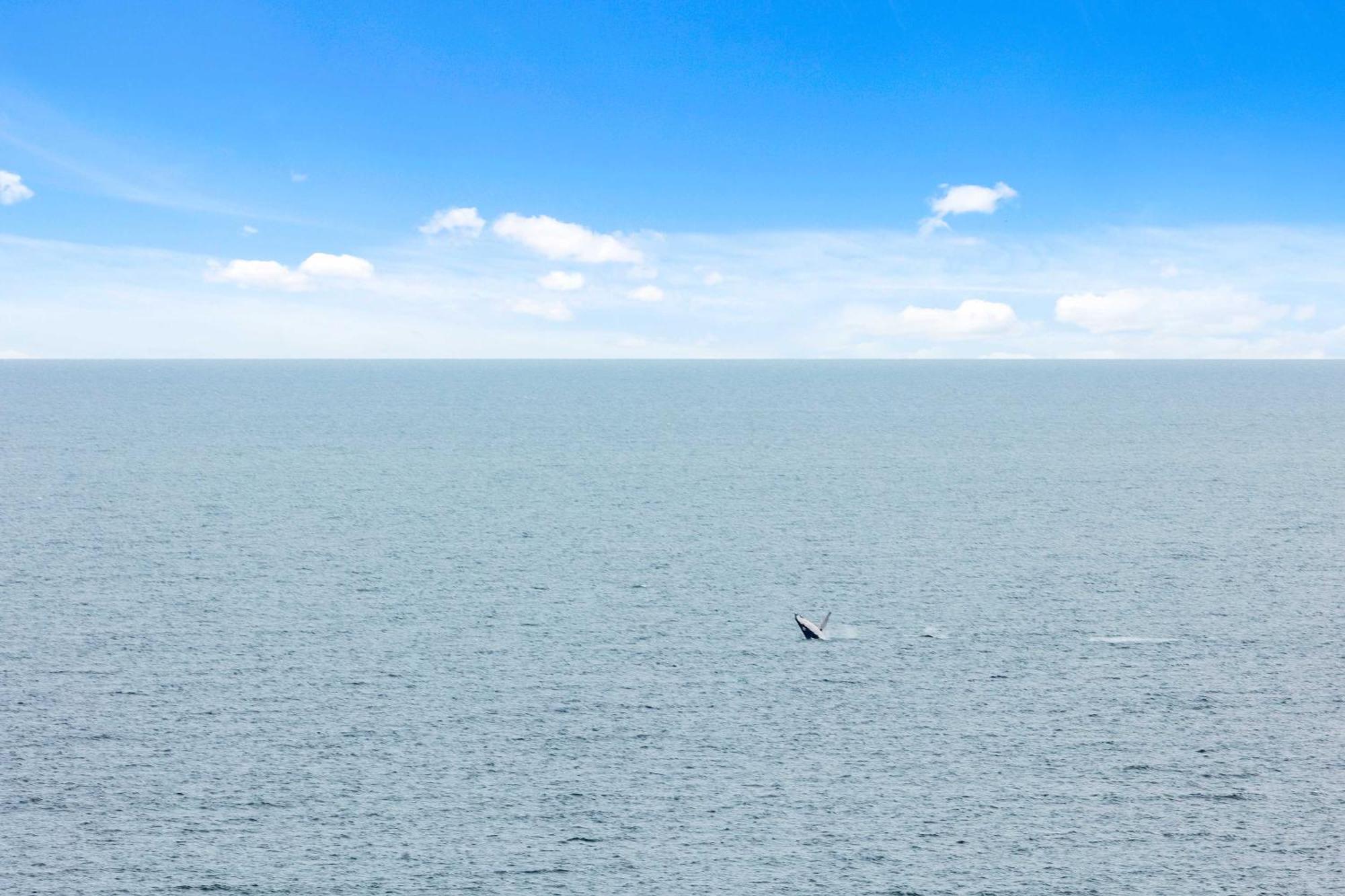 Apartment 18th Floor Ocean Views At Imperial Surf Surfers Paradise