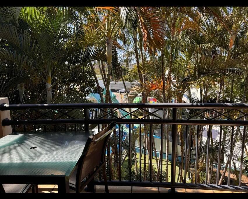 Turtle Tropical Bliss Gold Coast