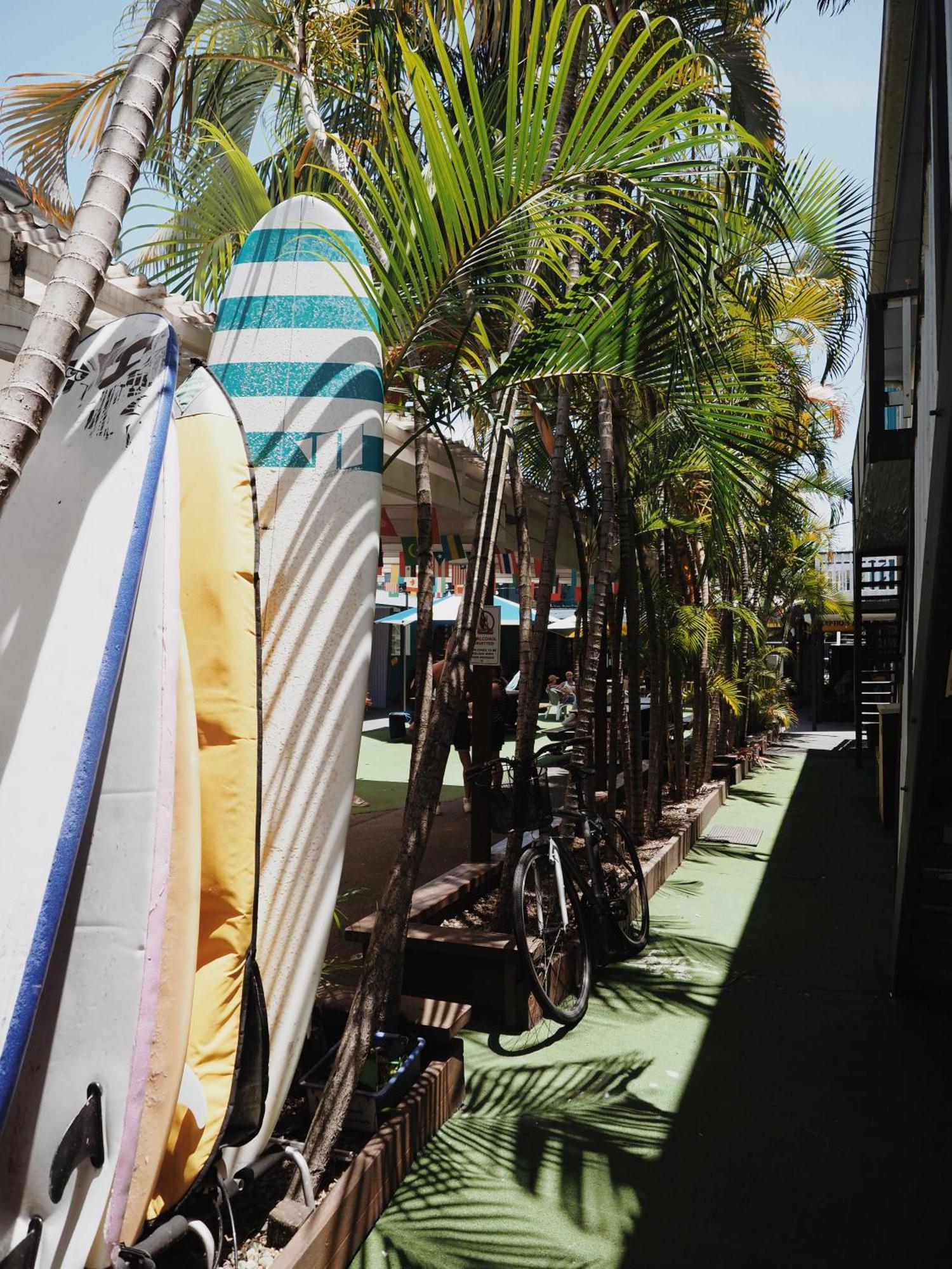 Backpackers In Paradise 18-35