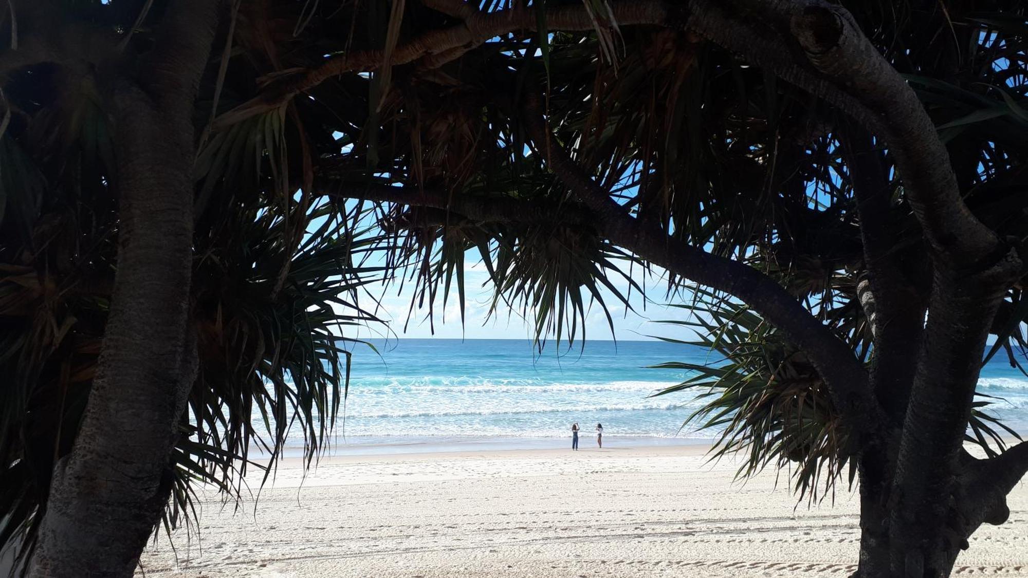 Aloha 604 Studio, Ocean Views, Near And Cavill Ave