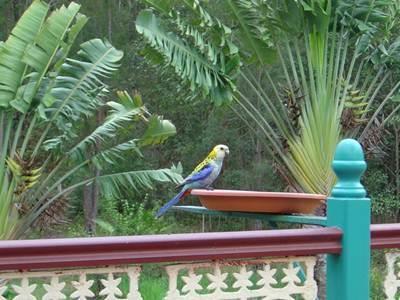 Bed & Breakfast Riviera