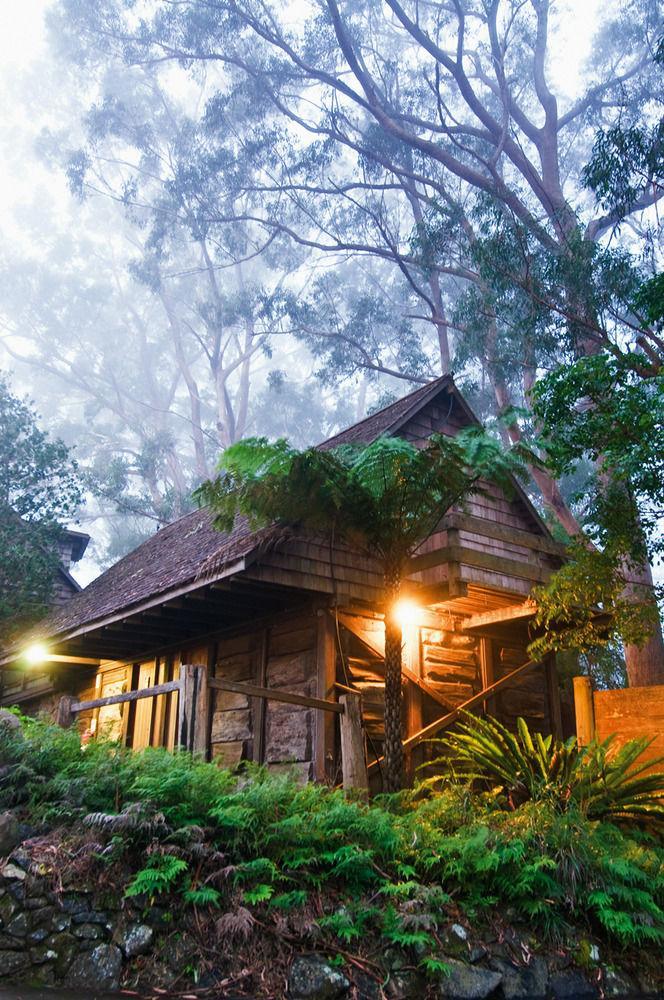 Binna Burra Mountain Hotel Gold Coast
