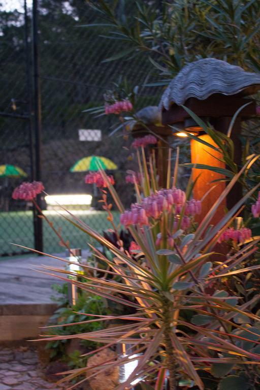 Garasu Guest house Gold Coast