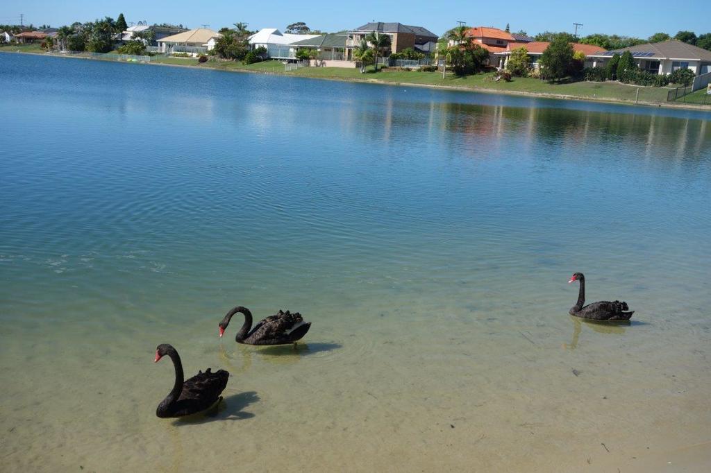 Holiday home Broadbeach Waterfront Holiday House *