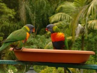 Bed & Breakfast Riviera Gold Coast