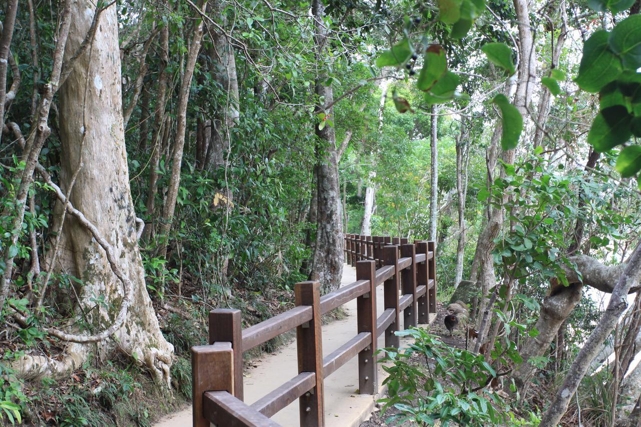 Apartamento Koala Cove *