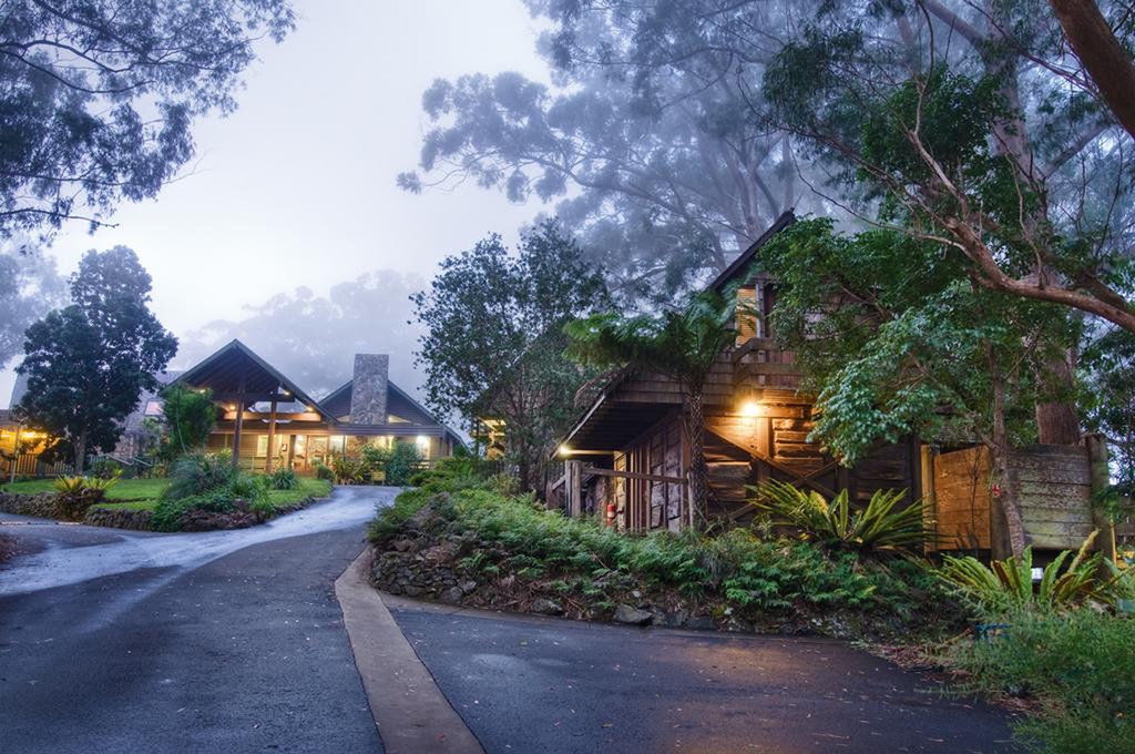 Hotel Binna Burra Mountain