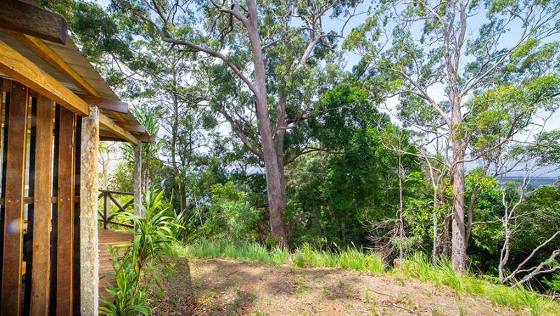 Hotel Binna Burra Mountain Gold Coast
