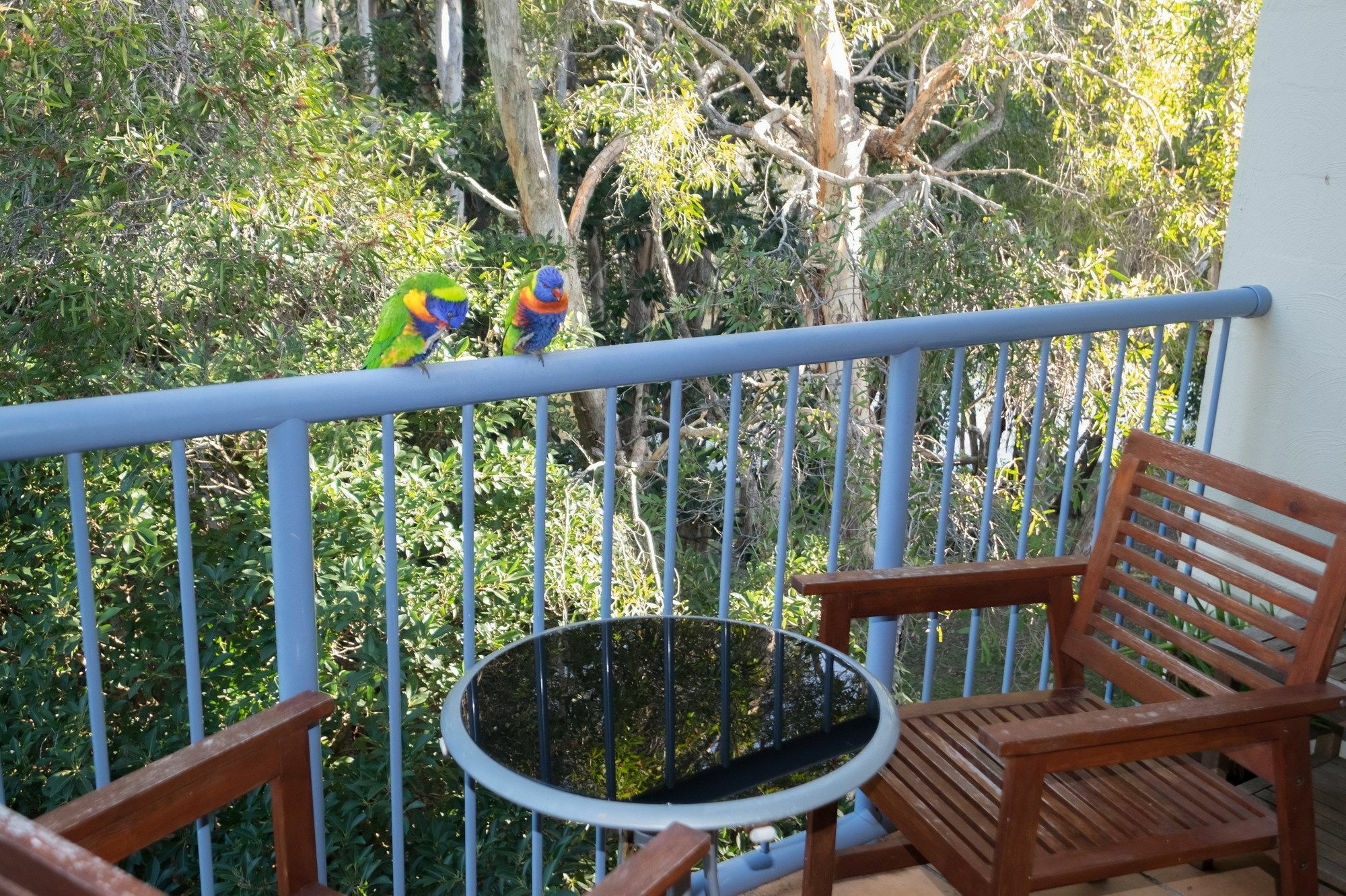 Sanctuary Aparthotel