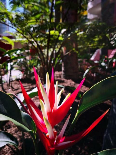 Enderley Gardens 3*